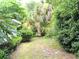 Overgrown green backyard with tropical plants at 8321 Sw 108Th Place Rd, Ocala, FL 34481