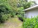 Lush side yard featuring green landscaping and a well-maintained lawn at 8321 Sw 108Th Place Rd, Ocala, FL 34481
