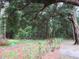 Lush backyard landscape with mature trees and natural foliage create a relaxing private setting at 14192 Sw 112Th Cir, Dunnellon, FL 34432