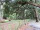 Scenic view of land with lush green trees and a dirt road at 14192 Sw 112Th Cir, Dunnellon, FL 34432