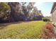 Expansive backyard featuring lush green grass and mature trees providing shade and privacy at 19551 Sw 77Th Loop, Dunnellon, FL 34432