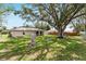 Spacious backyard with lush green grass, mature tree, and a full wooden fence at 106 Pine Trce, Ocala, FL 34472