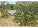 Private backyard with a chain-link fence offering green space and mature trees, great for outdoor activities at 106 Pine Trce, Ocala, FL 34472
