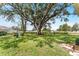 Spacious backyard featuring lush green grass and a large shade tree at 106 Pine Trce, Ocala, FL 34472