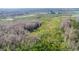 Expansive aerial view of lush greenery, showcasing the property's natural surroundings and serene landscape at 22535 Sw 117Th St, Dunnellon, FL 34431