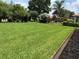 Spacious backyard with lush green lawn and beautiful, mature landscaping and trees at 8781 Sw 82Nd Court Rd, Ocala, FL 34481
