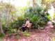 A nature lover relaxing on a bench in a lush park at 9328 Sw 192Nd Court Rd, Dunnellon, FL 34432