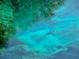 Underwater view of a vibrant natural spring at 9328 Sw 192Nd Court Rd, Dunnellon, FL 34432