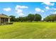 Large, green backyard featuring trees and lawns maintained with lush landscaping at 9551 Sw 92Nd Ter, Ocala, FL 34481