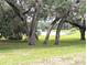 Picturesque lakeside view framed by mature trees and lush greenery, offering a serene environment at 13921 Sw 108Th Ln, Dunnellon, FL 34432