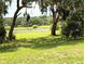 Picturesque lakeside view with lush greenery and mature trees, offering a serene environment at 13921 Sw 108Th Ln, Dunnellon, FL 34432