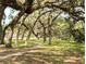 Scenic park view with mature trees creating a shaded canopy over grassy grounds at 13921 Sw 108Th Ln, Dunnellon, FL 34432