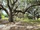 Picturesque walking path under majestic oak trees at 13921 Sw 108Th Ln, Dunnellon, FL 34432