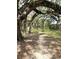 Picturesque walking path surrounded by majestic, moss-draped oak trees creating a serene canopy at 13921 Sw 108Th Ln, Dunnellon, FL 34432