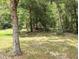 A sprawling plot of land with large mature trees scattered throughout the yard at 13921 Sw 108Th Ln, Dunnellon, FL 34432