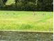 Geese near a lake showcasing the property's serene waterfront at 13921 Sw 108Th Ln, Dunnellon, FL 34432