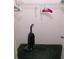 A small, carpeted walk in closet showing a vacuum cleaner with wire and colored clothes hangers at 14695 Sw 112Th Cir, Dunnellon, FL 34432