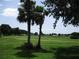 Scenic view of the golf course with palm trees and lush green fairways on a sunny day at 14695 Sw 112Th Cir, Dunnellon, FL 34432