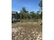 View of the wooded backyard with fence and open space at 1013 Nw Mandrake Dr, Dunnellon, FL 34431