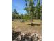 A spacious and sunny lot with sandy ground, trees and natural greenery at 1013 Nw Mandrake Dr, Dunnellon, FL 34431