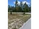 Corner lot with trees, partially cleared and ready for building a home at 1013 Nw Mandrake Dr, Dunnellon, FL 34431