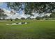 Picturesque backyard view with a small pond, lush green grass, and beautiful reflections of the sky at 10699 Se 178Th St, Summerfield, FL 34491