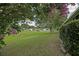 Well-manicured lawn with lush greenery, mature trees, and charming neighborhood views at 10699 Se 178Th St, Summerfield, FL 34491