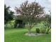 Lush green backyard with well-maintained lawn and crape myrtle trees with purple blossoms at 12169 Se 172Nd Ln, Summerfield, FL 34491