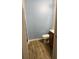 Modest bathroom featuring wood-look tile flooring and blue painted walls at 13155 Sw 73 Ave, Ocala, FL 34473