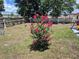 Backyard with flower tree and partial view of a fence at 21511 Sw Plantation Sw St, Dunnellon, FL 34431