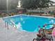 Inviting backyard pool with lounging area, mature trees, and playful flamingo decor at 21511 Sw Plantation Sw St, Dunnellon, FL 34431