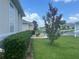 Beautiful landscaping in the front yard with a decorative crepe myrtle tree at 2515 Nw 53 Ave, Ocala, FL 34482