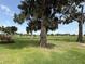 View of the golf course from the property with a clear blue sky and trees covered with Spanish moss at 2515 Nw 53 Ave, Ocala, FL 34482