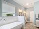 Bright bathroom featuring a modern tub, double vanity, and stylish fixtures at 15620 Nw 112Th Ave, Reddick, FL 32686