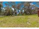 Vast backyard with mature trees and a glimpse of the lake creates a serene outdoor setting at 3000 Pine Grove Ln, Lady Lake, FL 32159