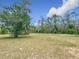 Expansive front yard featuring a mature tree and an American flag on display at 4258 Sw Zinnia Ct, Dunnellon, FL 34431