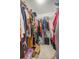 Walk-in closet, fully stocked with shelves, rods, and storage containers at 6127 Sw 84Th Place Rd, Ocala, FL 34476