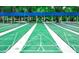 Well-maintained shuffleboard courts with clear markings, offering a fun and social activity for residents at 7802 Sw 114Th Loop, Ocala, FL 34476