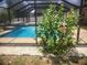 Screened-in pool and patio are accentuated by lush landscaping at 3223 Sw 41St Ave, Ocala, FL 34474