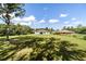 Spacious backyard with lush green grass, mature trees, and a peaceful residential view at 9957 Sw 45Th Ave, Ocala, FL 34476
