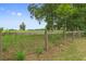 This property features ample land, suitable for a variety of uses, enclosed by a sturdy wire fence at 21191 Sw Plantation St, Dunnellon, FL 34431