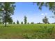 Expansive land perfect for building your dream home at 21191 Sw Plantation St, Dunnellon, FL 34431