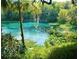 The river is a picturesque view framed by lush tropical foliage at 21191 Sw Plantation St, Dunnellon, FL 34431