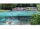 The river view provides refreshing activity; a swimmer, people on the pier, and kayakers, all enjoying the scenery at 21191 Sw Plantation St, Dunnellon, FL 34431