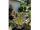 Scenic fish pond with rocks, beautiful landscaping, and clear water, perfect for creating a peaceful ambiance at 2640 Sw 36Th Ln, Ocala, FL 34471