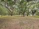 Beautiful land lot surrounded by mature trees at 9805 Se 182Nd Avenue Rd, Ocklawaha, FL 32179