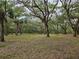 Large lot with mature trees and natural ground cover at 9805 Se 182Nd Avenue Rd, Ocklawaha, FL 32179