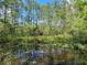 Picturesque pond reflecting tall trees and blue sky, accented with lily pads and yellow flowers at 9805 Se 182Nd Avenue Rd, Ocklawaha, FL 32179