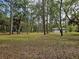 Lush property featuring tall trees, a mix of greenery, and a charming house in the distance at 9805 Se 182Nd Avenue Rd, Ocklawaha, FL 32179