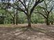 Expansive property with mature trees and a carpet of fallen leaves, creating a tranquil environment at 9805 Se 182Nd Avenue Rd, Ocklawaha, FL 32179